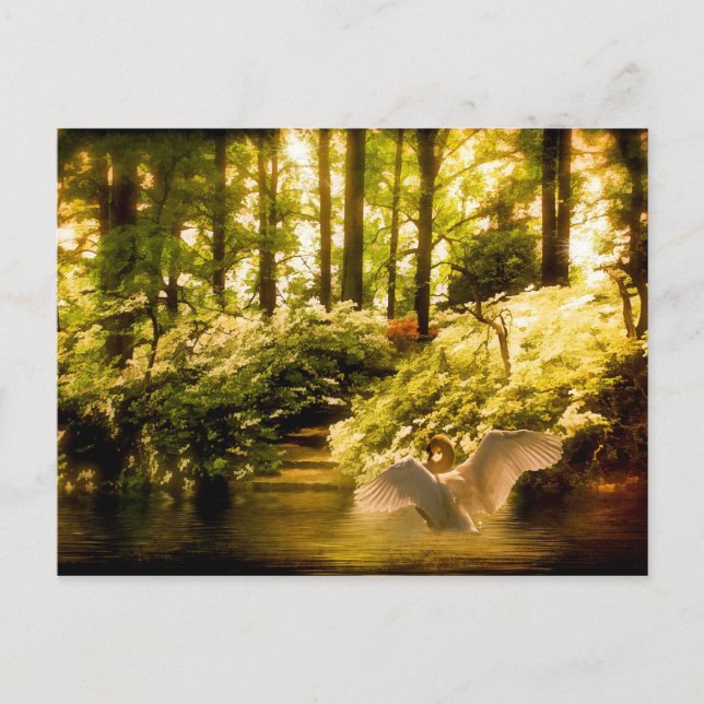 Postal Swan de ensueño (Anverso)