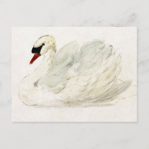 Postal Swan dibujado por Aert Schouman