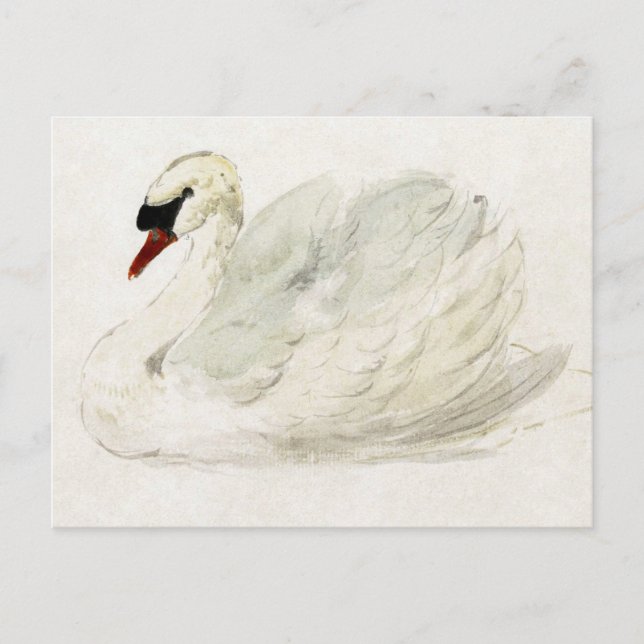 Postal Swan dibujado por Aert Schouman (Anverso)
