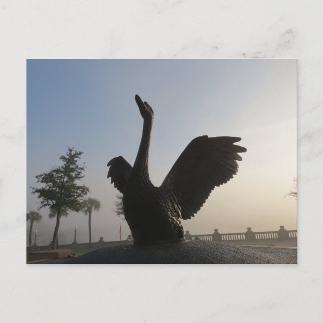Postal Swan en vuelo Blue Background Lakeland, FL (Anverso)