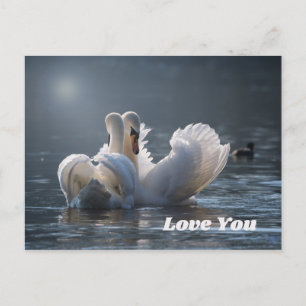 Postal Swan-Love-