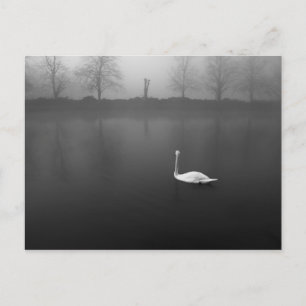 Postal Swan, mañana nublada