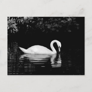 Postal Swan, Roath Park, Cardiff.