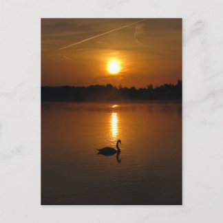 Postal Swan y puesta de sol