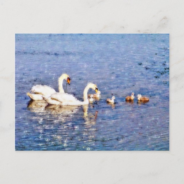 POSTAL SWANS (Anverso)