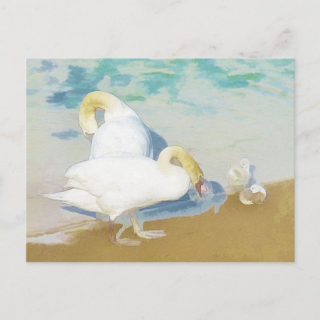 POSTAL SWANS (Anverso)