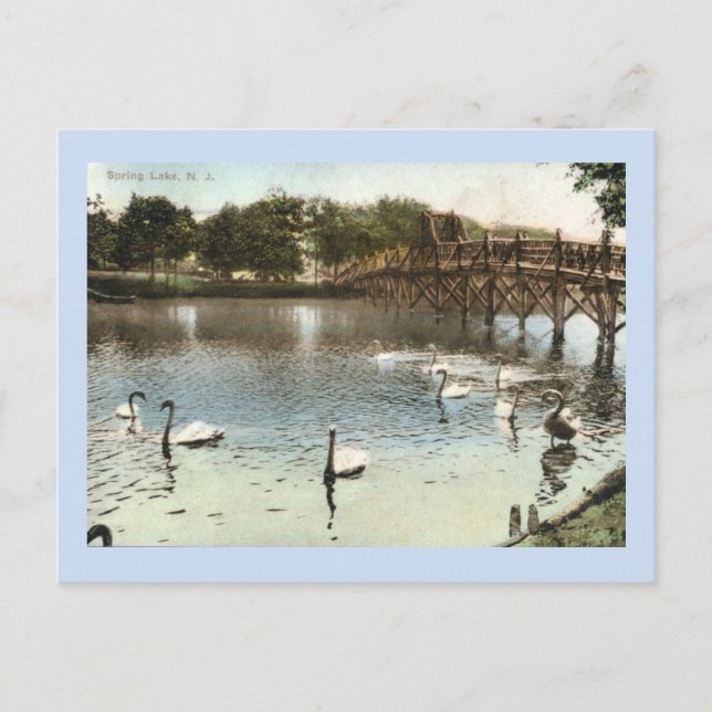 Postal Swans and Bridge, Spring Lake, NJ Vintage (Anverso)