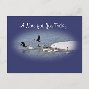 Postal Swans y Geese Postcard-oval-personalizar