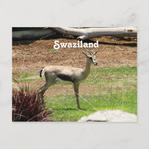 Postal Swazilandia Gazelle