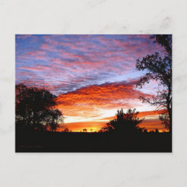 Postal Sweet Dreams Kodi