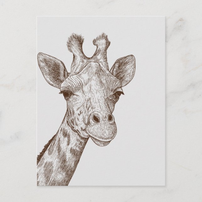 Postal Sweet Giraffe Face (Anverso)