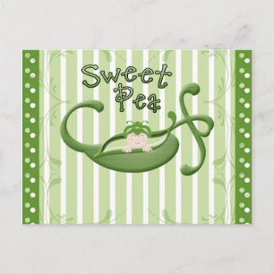 Postal Sweet Pea