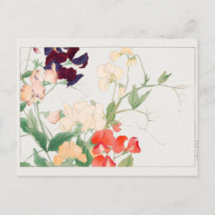 Postal Sweet pea por Tanigami Konan