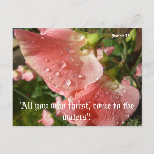 Postal Sweet Peas (Anverso)