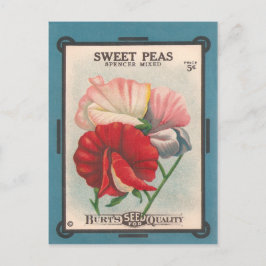 Postal Sweet Peas