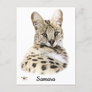 Postal Sweet Samara