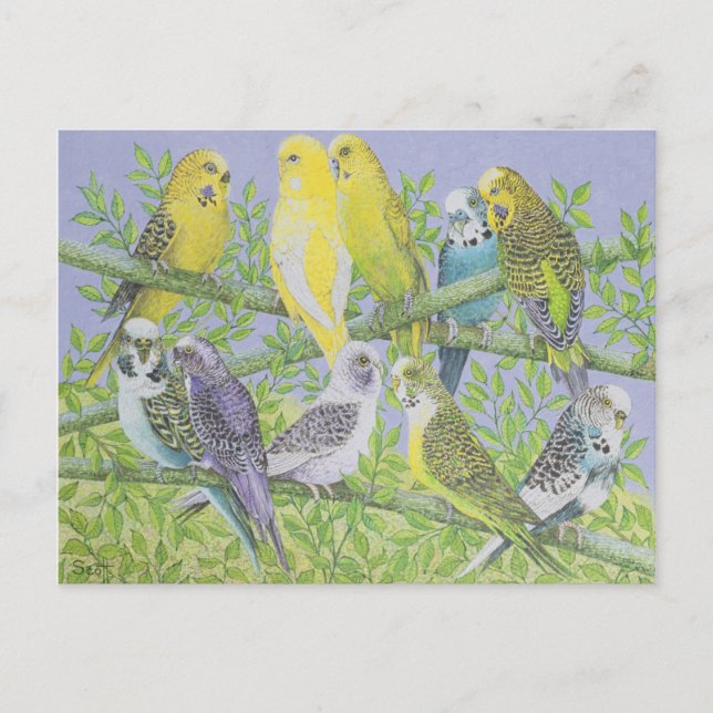 Postal Sweet Talking (Anverso)