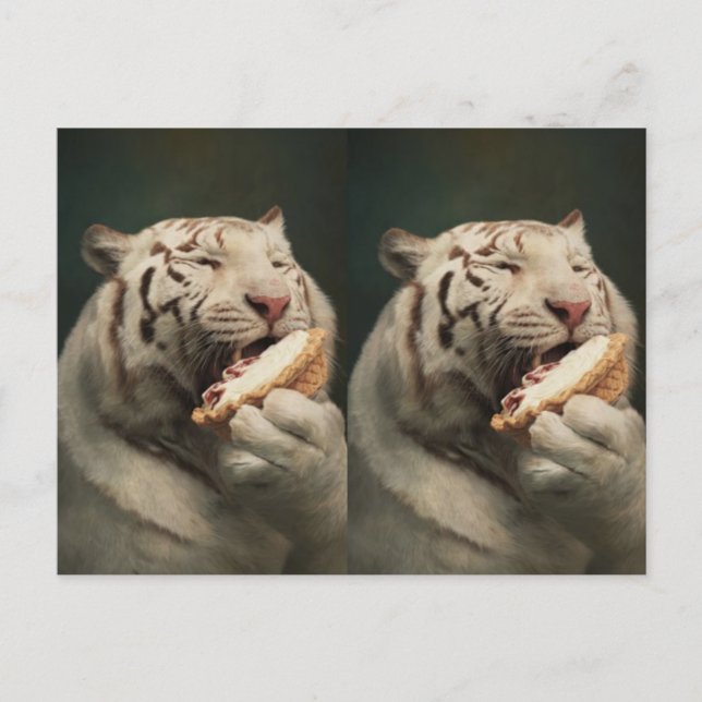 Postal Sweet White Tiger Postcard – Whimsical Art (Anverso)