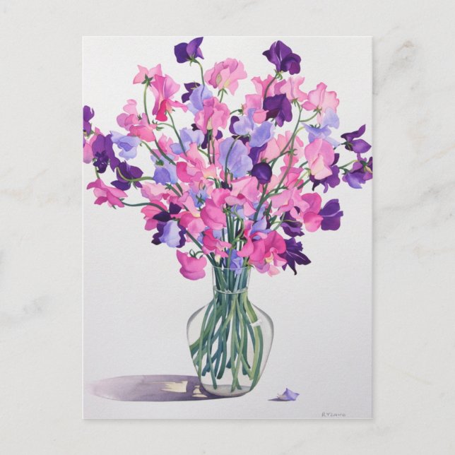 Postal Sweetpeas 2007 (Anverso)