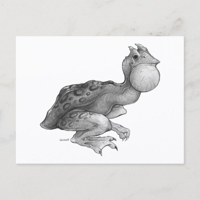 Postal Swog - Postcard (Anverso)