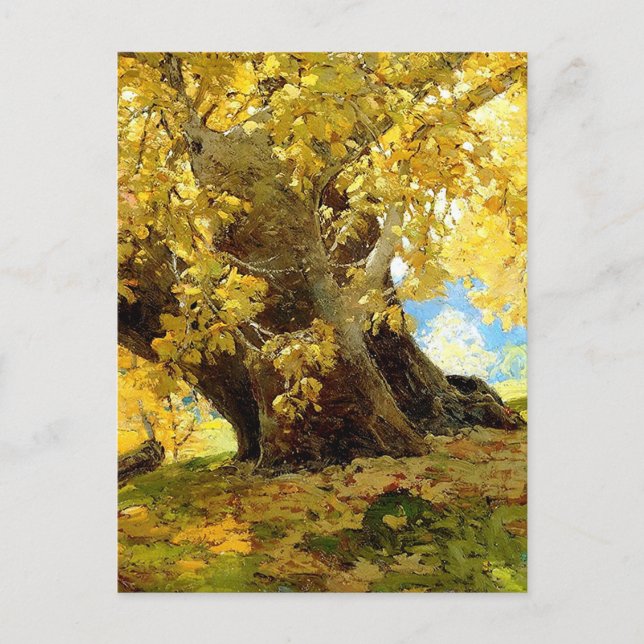Postal Sycamore en otoño, por Edgar Payne (Anverso)