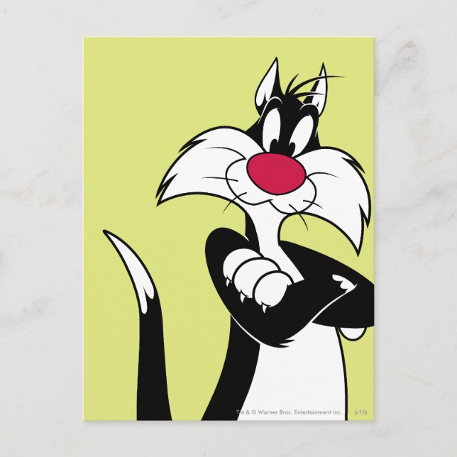 Postal SYLVESTER™ Red Nose (Anverso)