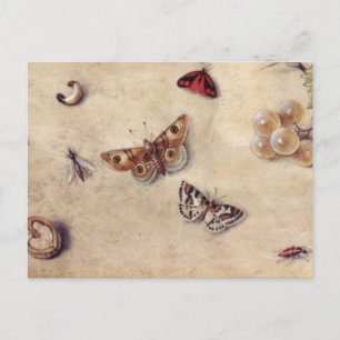 Postal T31566 Estudio de varios insectos, fruta y anima