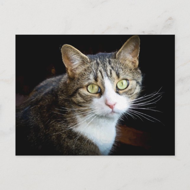 Postal Tabby (Anverso)