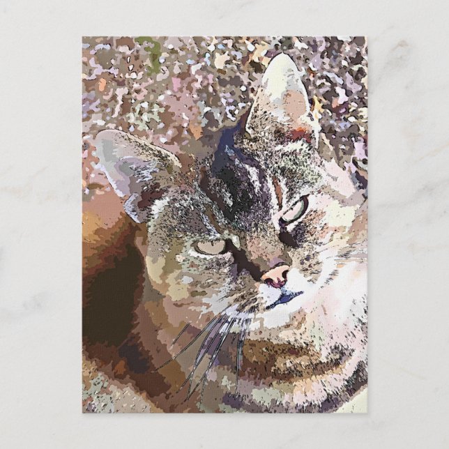 POSTAL TABBY CAT (Anverso)