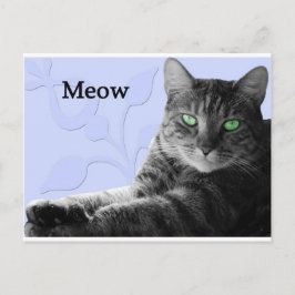 Postal Tabby Cat Meow