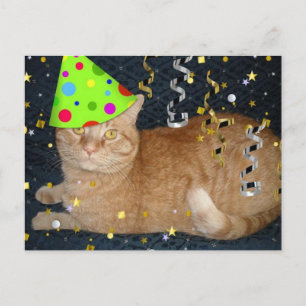 Postal Tabby Cat Naranja de la fiesta de cumpleaños