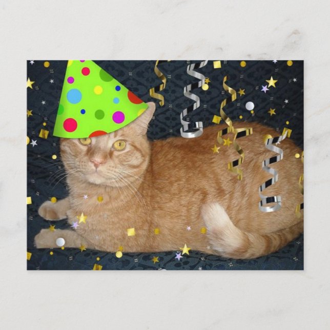 Postal Tabby Cat Naranja de la fiesta de cumpleaños (Anverso)