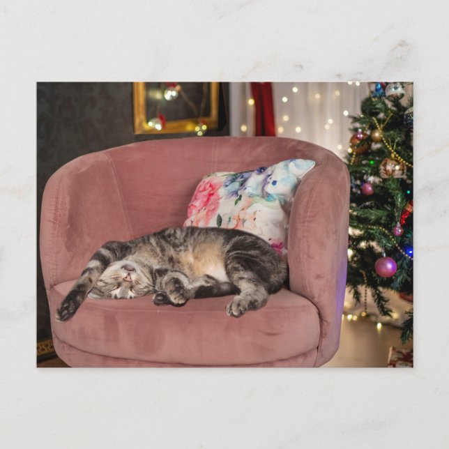 Postal Tabby Cat Navidades Snooze (Anverso)