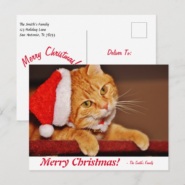 Postal Tabby Cat Post, Naranja de Navidad de Feliz Feliz  (Anverso / Reverso)