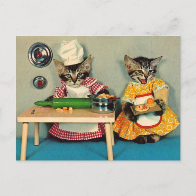 Postal tabby kitten chef y tabby kitten asistente (Anverso)