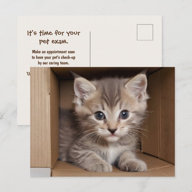 Postal Tabby Kitten Para El Examen Mascota (Anverso / Reverso)