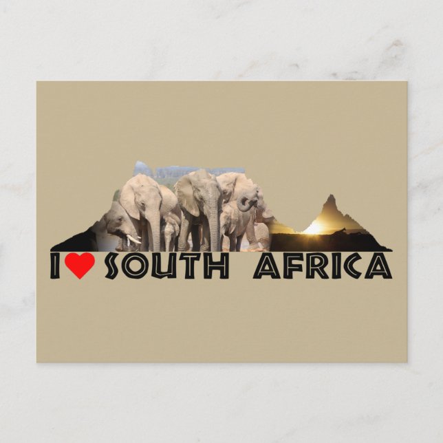 Postal Table Mountain Elephant Family (Anverso)