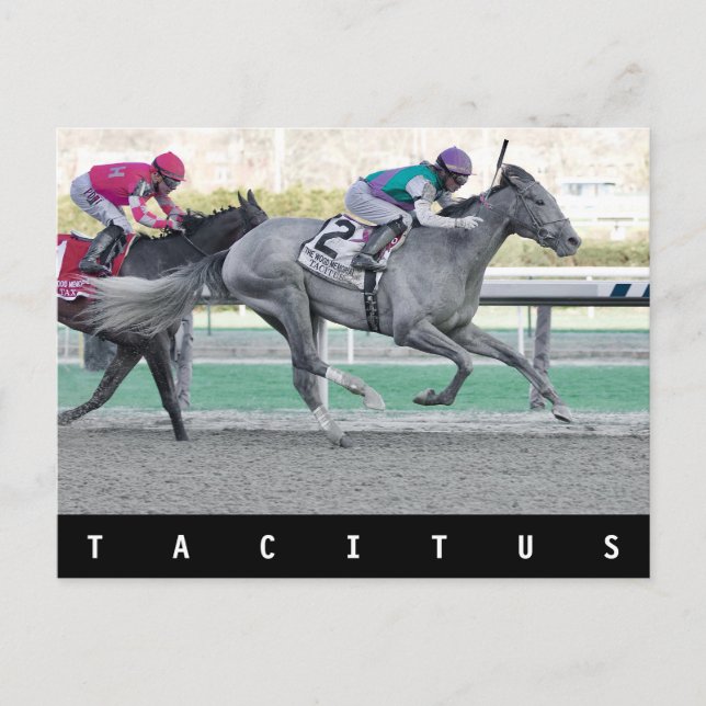 Postal Tacitus ganando las Wood Memorial Stakes (Anverso)