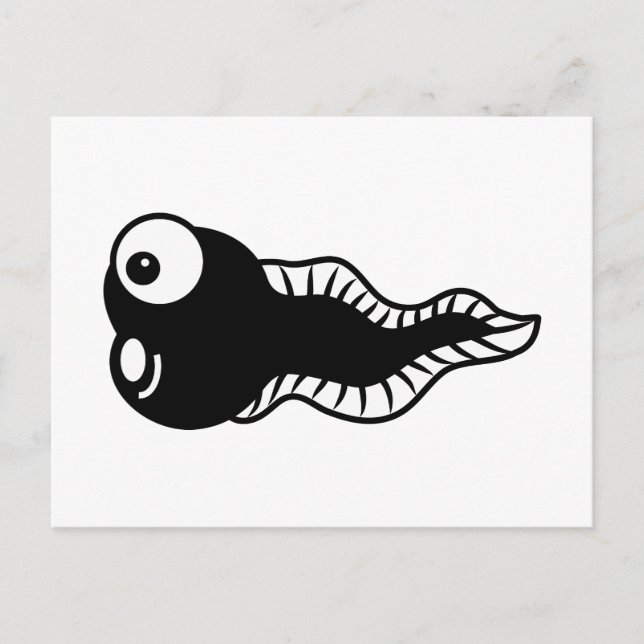 Postal Tadpole (Anverso)