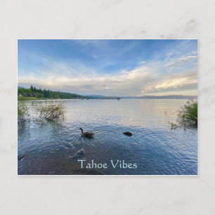 Postal Tahoe Vibes
