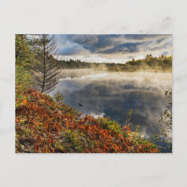 Postal Tahquamenon River Sunrise | Paradise, Michigan (Anverso)