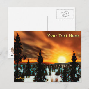 Postal Taiga Sun