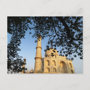 Postal Taj Mahal al amanecer. Agra, India, 2008.