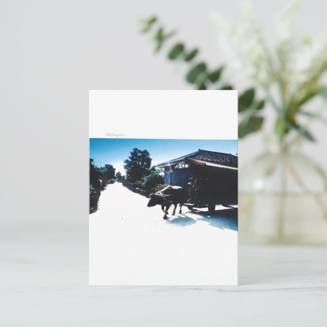 Postal taketomi iland in japan (Anverso de pie)