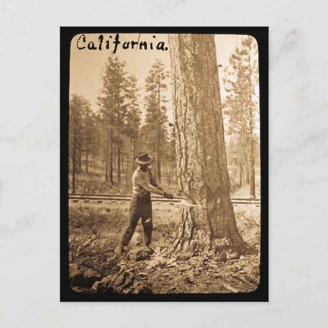 Postal Tala de una linterna mágica en el Valle de Butte,  (Anverso)