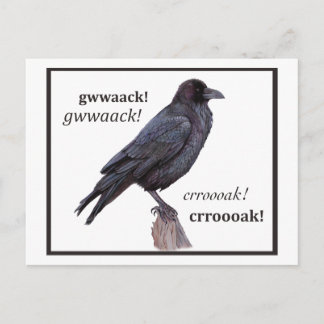 Postal Talking Raven Greeting