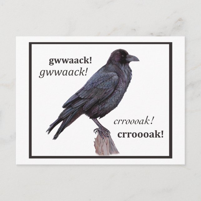 Postal Talking Raven Greeting (Anverso)