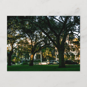 Postal Tall Trees en el centro de Charleston, Carolina de