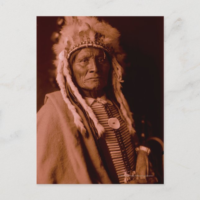 Postal Tall Whiteman - Cheyenne (Anverso)