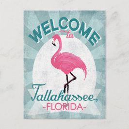 Postal Tallahassee Florida Pink Flamingo Retro